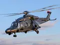 post_big/aw149_leo.jpg