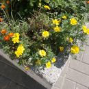 20180822_144139.jpg