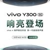 Vivo Y300 smartphone rear speaker miniature