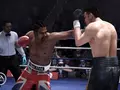 post_big/fight-night-image-3.jpg