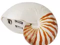 files/u2/2009/05/Shell-Hub1.jpg