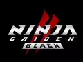 post_big/ng2black.jpg