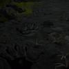Обзор Death Stranding: я буду ждать тебя на берегу-17