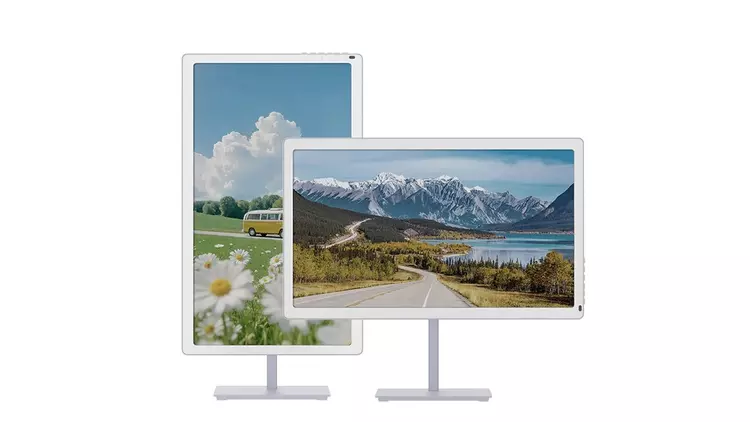Bigme B251 Pro : un écran ...