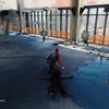 Marvel's Spider-Man_20180912202630.jpg