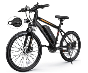 TotGuard Electric Bike