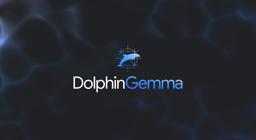 DolphinGemma: Раскрываем секреты нового инновационного проекта