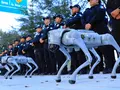 post_big2/k9-x-division-ti.webp