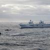 Le porte-avions britannique HMS Queen Elizabeth, qui transporte des chasseurs de cinquième génération F-35B Lightning II, est passé sous le commandement de l'OTAN pour la première fois dans l'histoire.-24