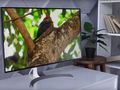 Видеообзор LG 32UD99: стильный 4К-монитор с HDR