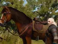 post_big/VqDtusNC3fR4PSx-0w2ptQ.jpg