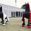 Thumbnail of robo-horse on grass