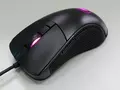 post_big/cougar-surpassion-main.jpg