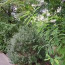 IMG_20180909_140029.jpg