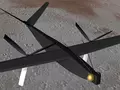 post_big/virtual_model_1.jpg