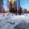 IMG_20190111_141256.jpg