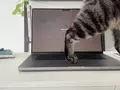 post_big2/maxresdefault_C4zQe8n.webp