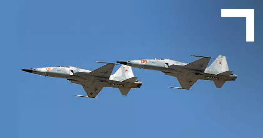 В Турции разбился истребитель Northrop F-5 Tiger после столкновения с птицей