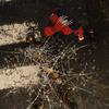 Marvel's Spider-Man_20180907215220.jpg