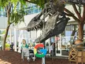 post_big2/dinosaur-skeleton-at-googleoriginal.webp