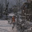 ROTTR_2017_06_01_13_24_51_581.jpg