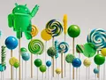 post_big/lollipop-forest.jpg