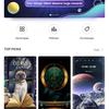 Обзор Huawei P30 Pro: прибор ночного видения-307