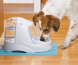 PetSafe Drinkwell Platinum Pet Fountain - Intelligent Hydration