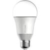 LB100.jpg