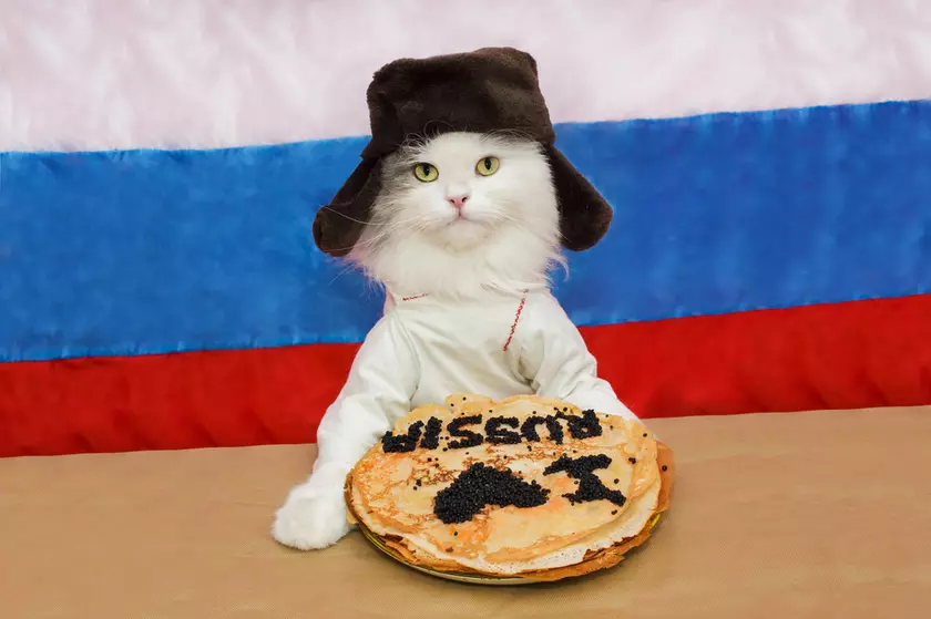 Яндекс.Деньги подпали под санкции США