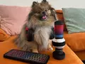 post_big/press-paws-with-hyperxs-gamer-pet-toys-your-pooch-can-be-an_ag8b.3840.jpg