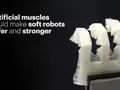 post_big/soft-robot-strong.jpg