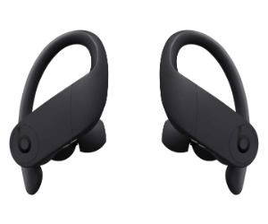Powerbeats Pro Wireless Earbuds with Ear ...