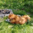20170502_135305.jpg