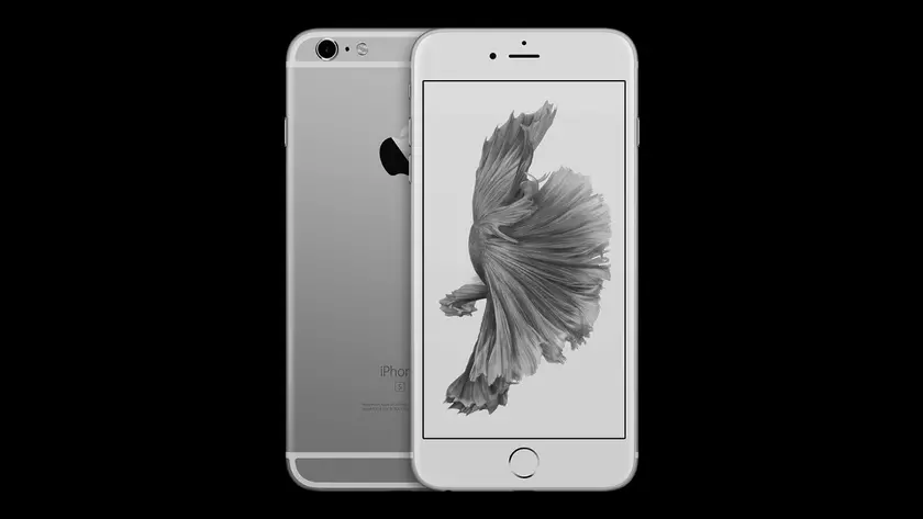WhatsApp готовится завершить поддержку iPhone 6 Plus в этом году