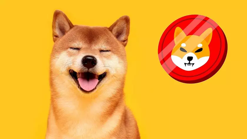 Шуточный токен Shiba Inu подорожал на 331% и попал в топ-20 криптовалют благодаря Илону Маску