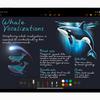Apple iPad Air with an intelligent imagery stick in notes
