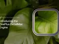 post_big/1942486730074488833.webp