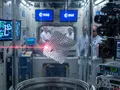post_big2/laser.webp
