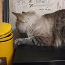 20180812_011713.jpg