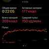 Обзор Apple Watch 5: смарт-часы по цене звездолета-19