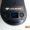 cougar-surpassion-18.jpg