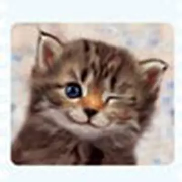 Кошечка