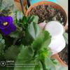 13-Screenshot_20180906-141317.jpg