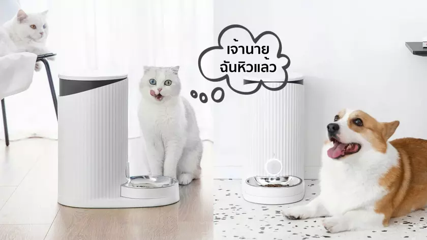 Россиянка случайно взломала тысячи кормушек для животных Xiaomi по всему миру