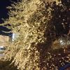 IMG_20170415_212809.jpg