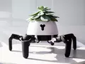 post_big/hexa-plant-on-the-sun-.jpg