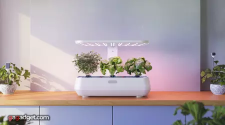 Best Smart Gadgets for Plant Parents