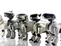 post_big/sony-aibo-new-2018.jpeg