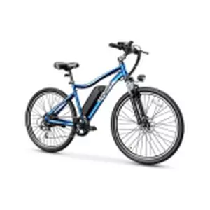 Heybike Race Max